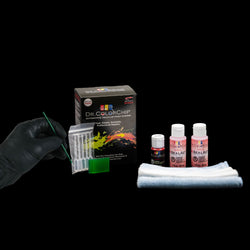 Mini Squeegee Paint Kit